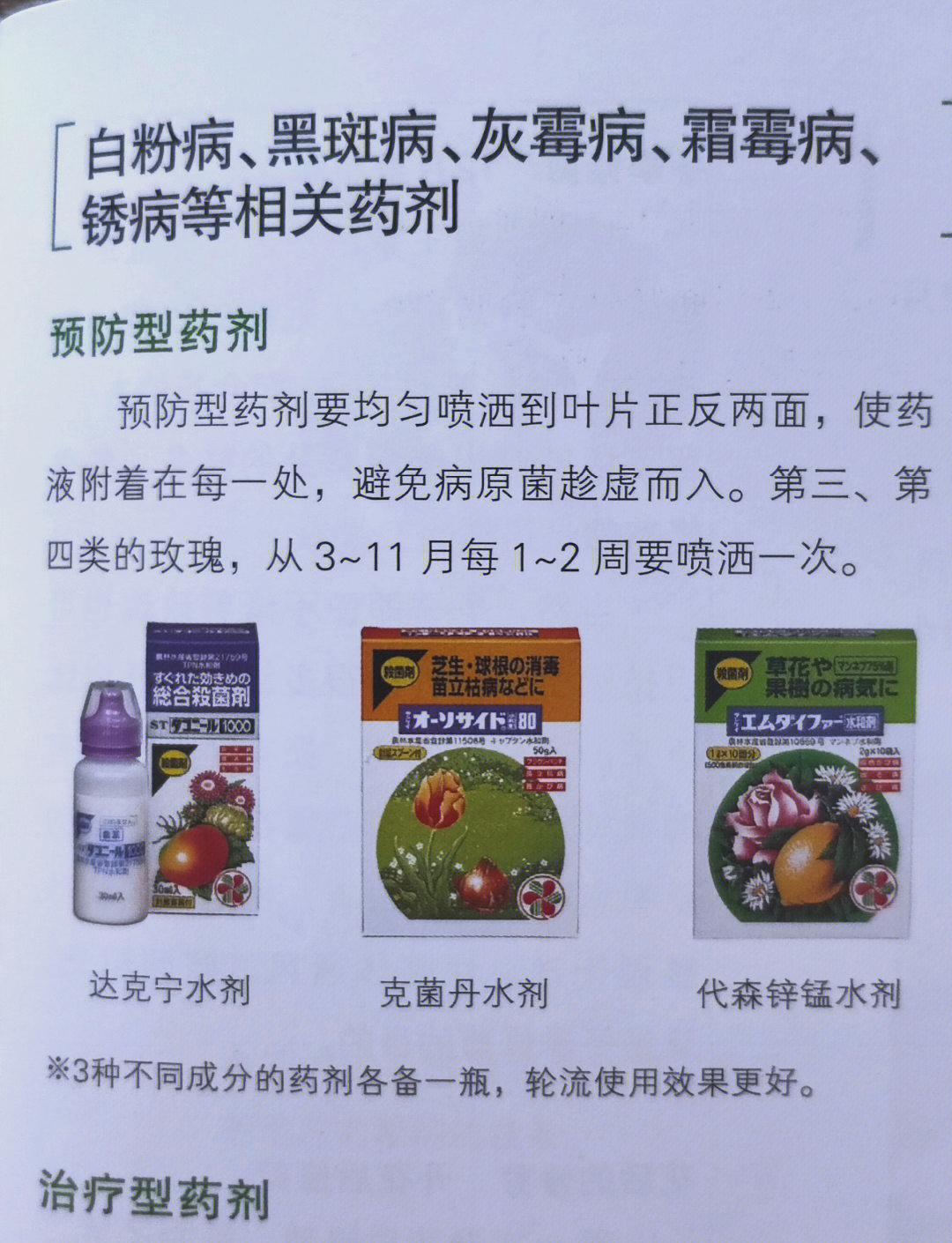 月季花常见病用药图片