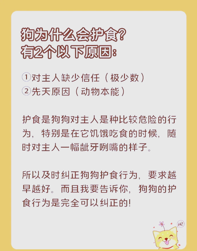 如何在家轻松纠正狗狗的护食行为 🐶