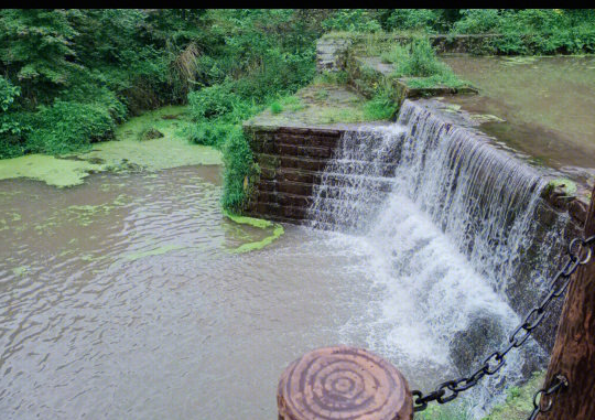 渝北九曲河湿地公园 亲子游好去处