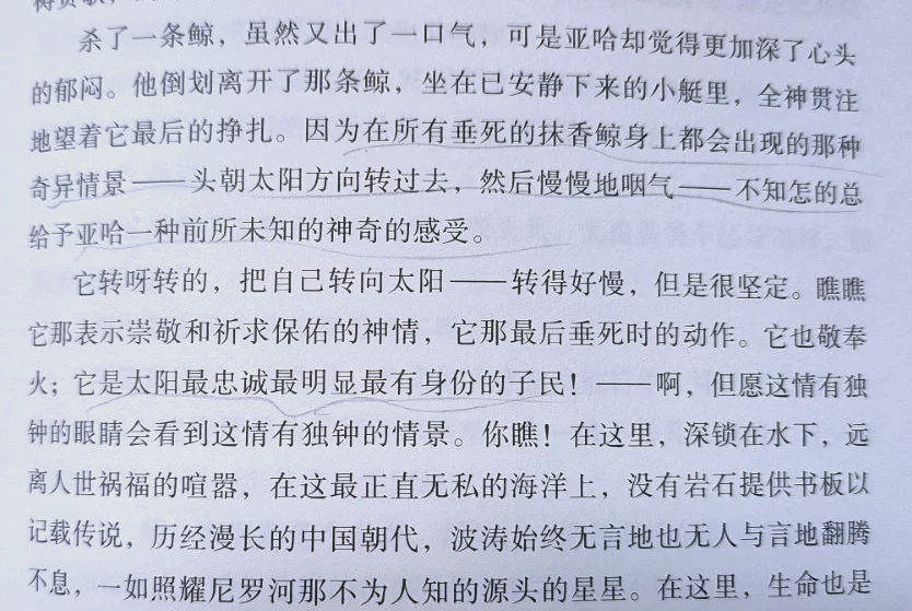 《白鲸:人类征服自然的悲壮史诗