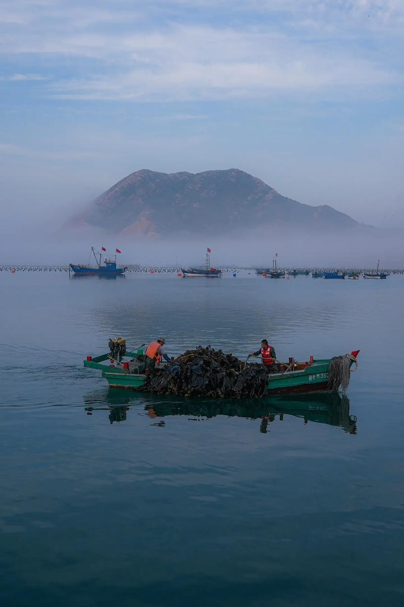 东莞石碣檀香岛图片