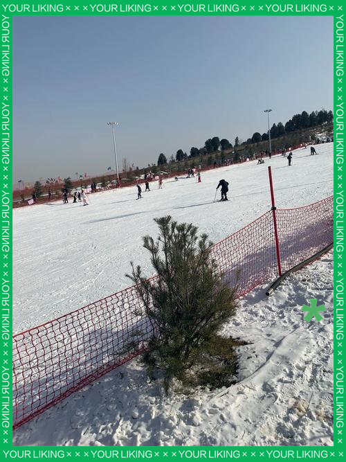 临沂茶山滑雪场图片