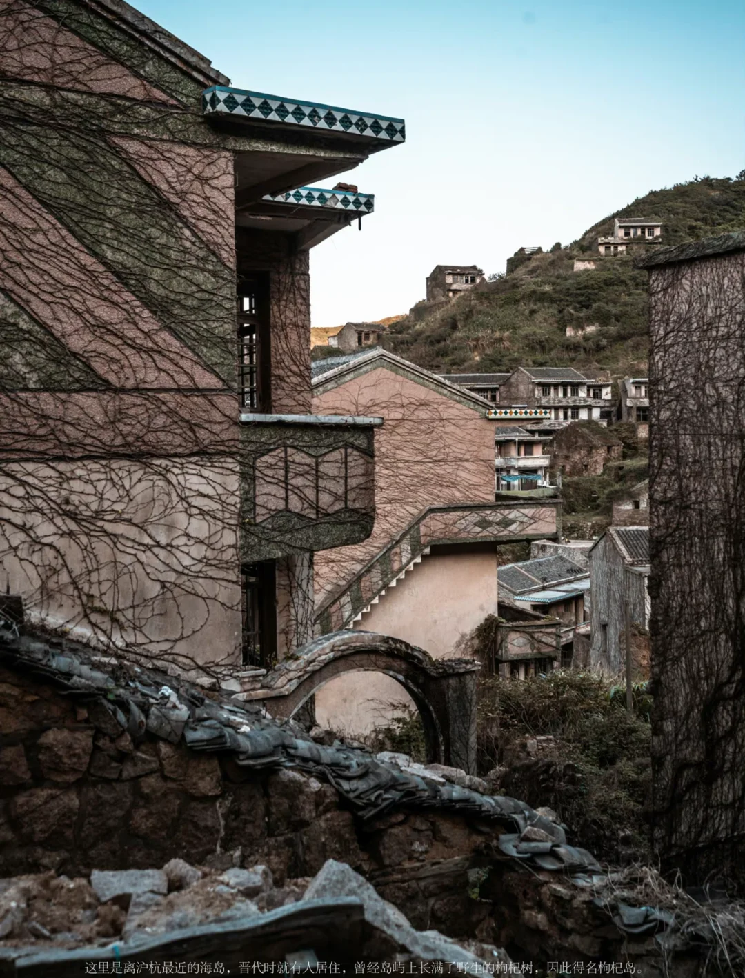 枸杞岛无人村闹鬼图片