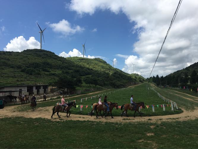 利川齐岳山骑马图片