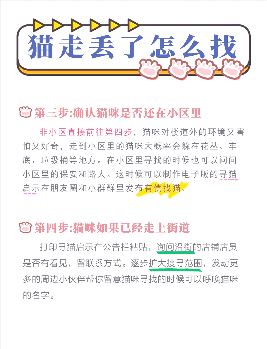 猫咪走丢?这些小细节帮你找回它!