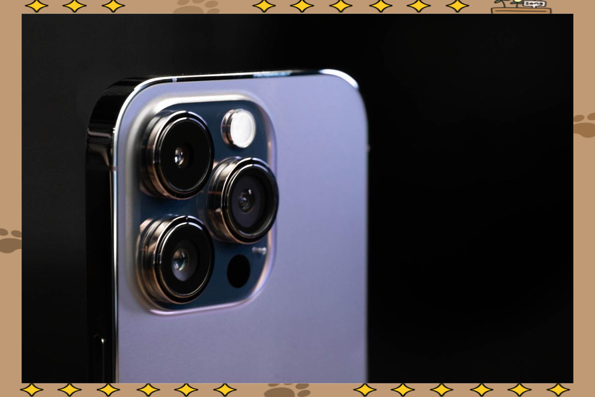 iphone 14摄像头大升级!
