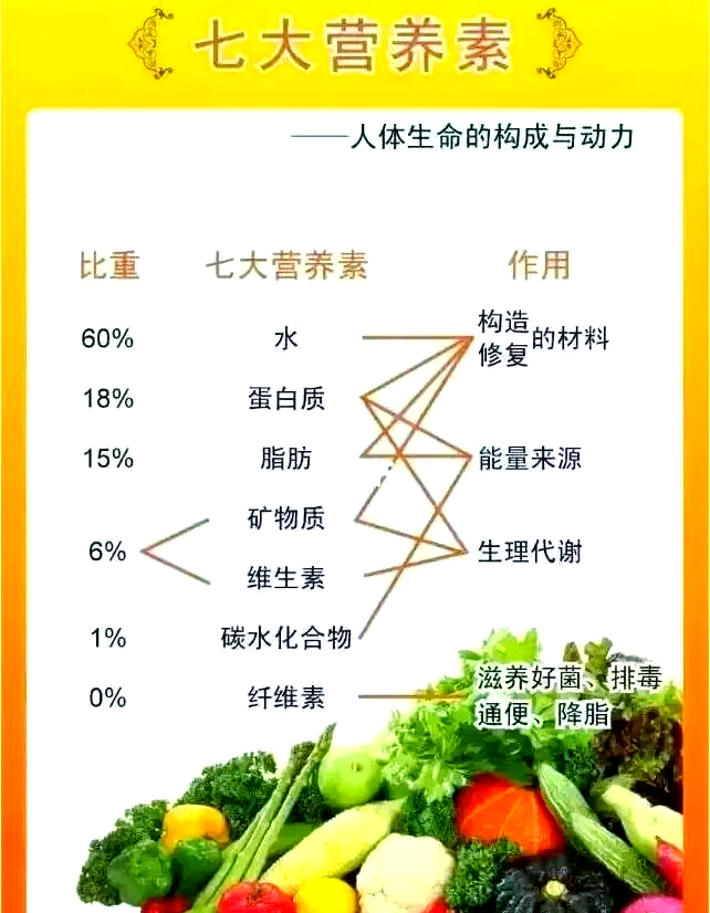 人体奥秘科普说明文图片