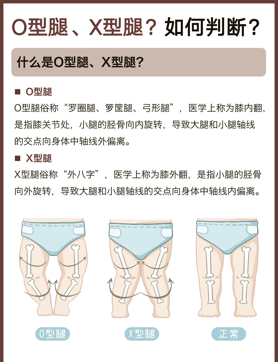 宝宝腿部发育过程图图片