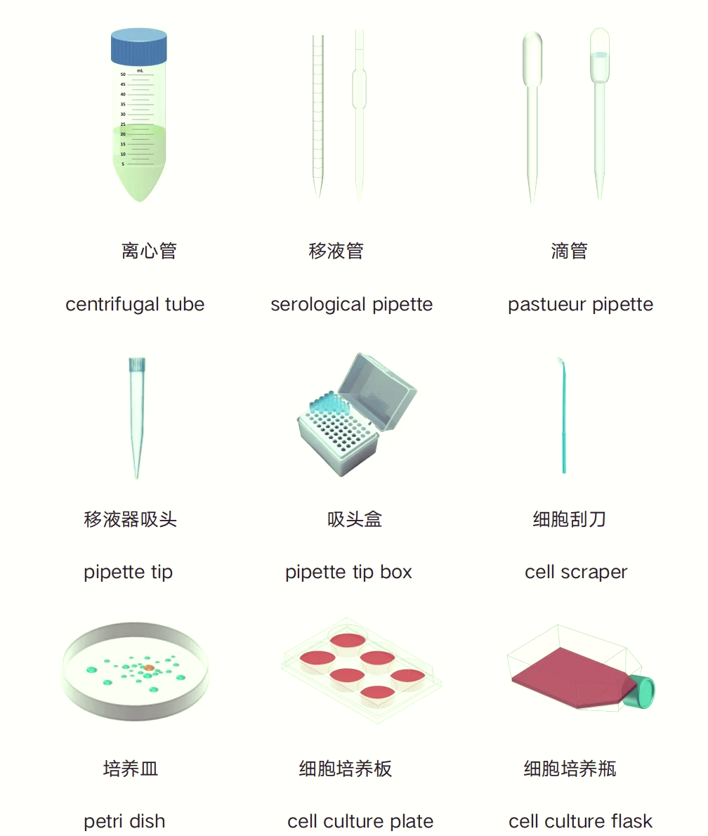 实验仪器名称图片