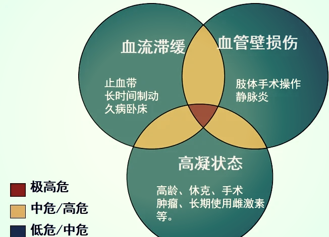 下肢深静脉血栓形成全解析�