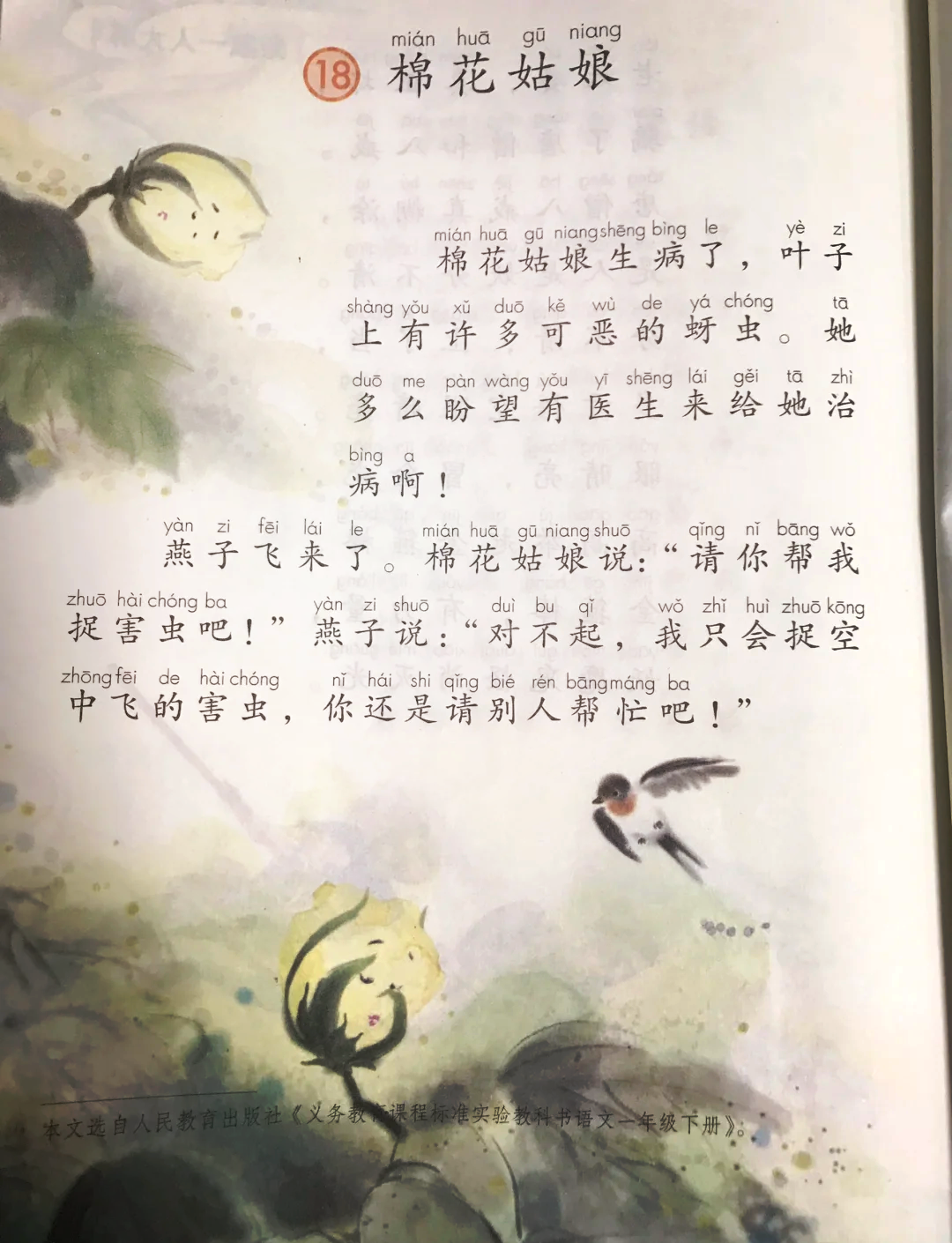 棉花姑娘生字图片