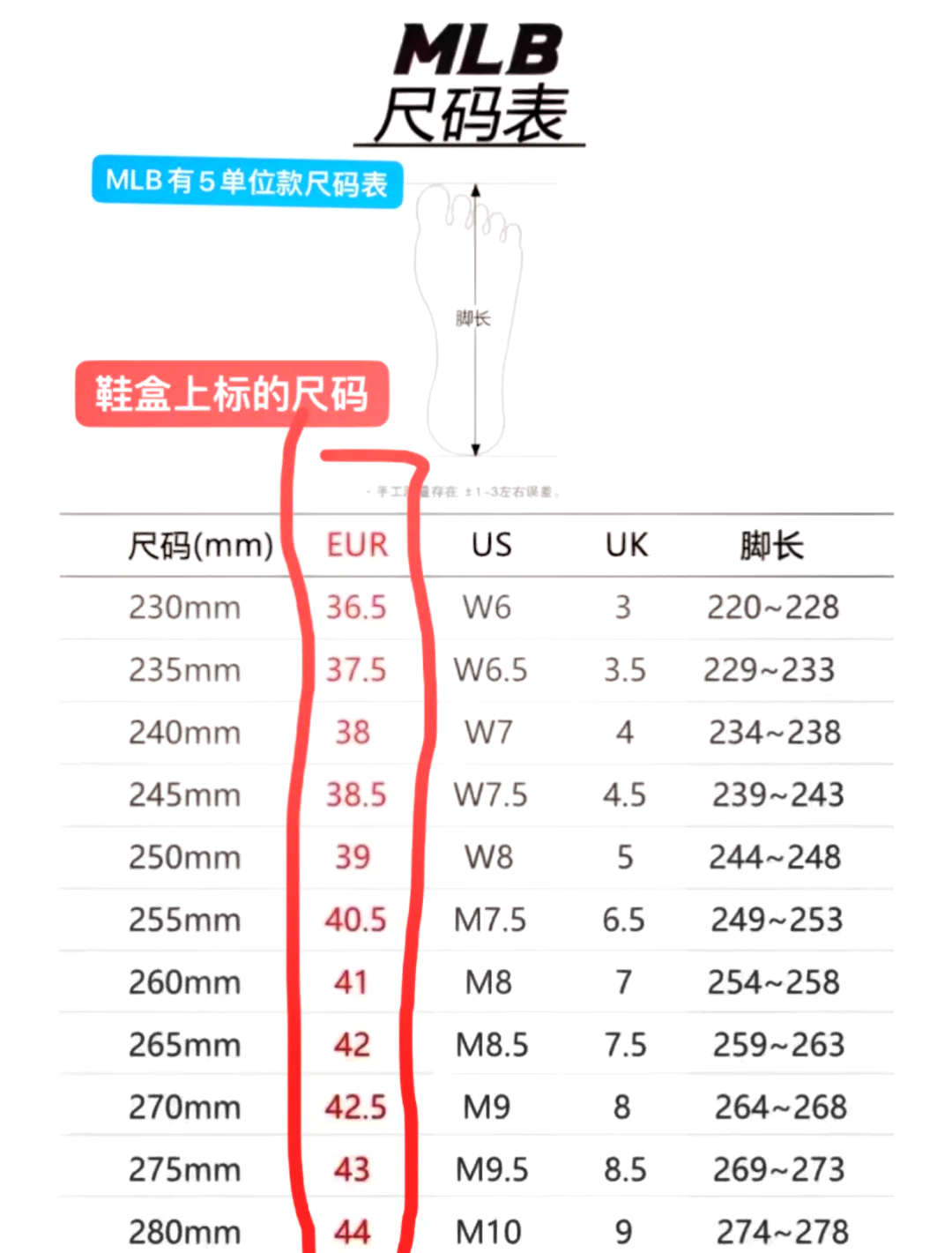 男女鞋尺码对照表大全图片