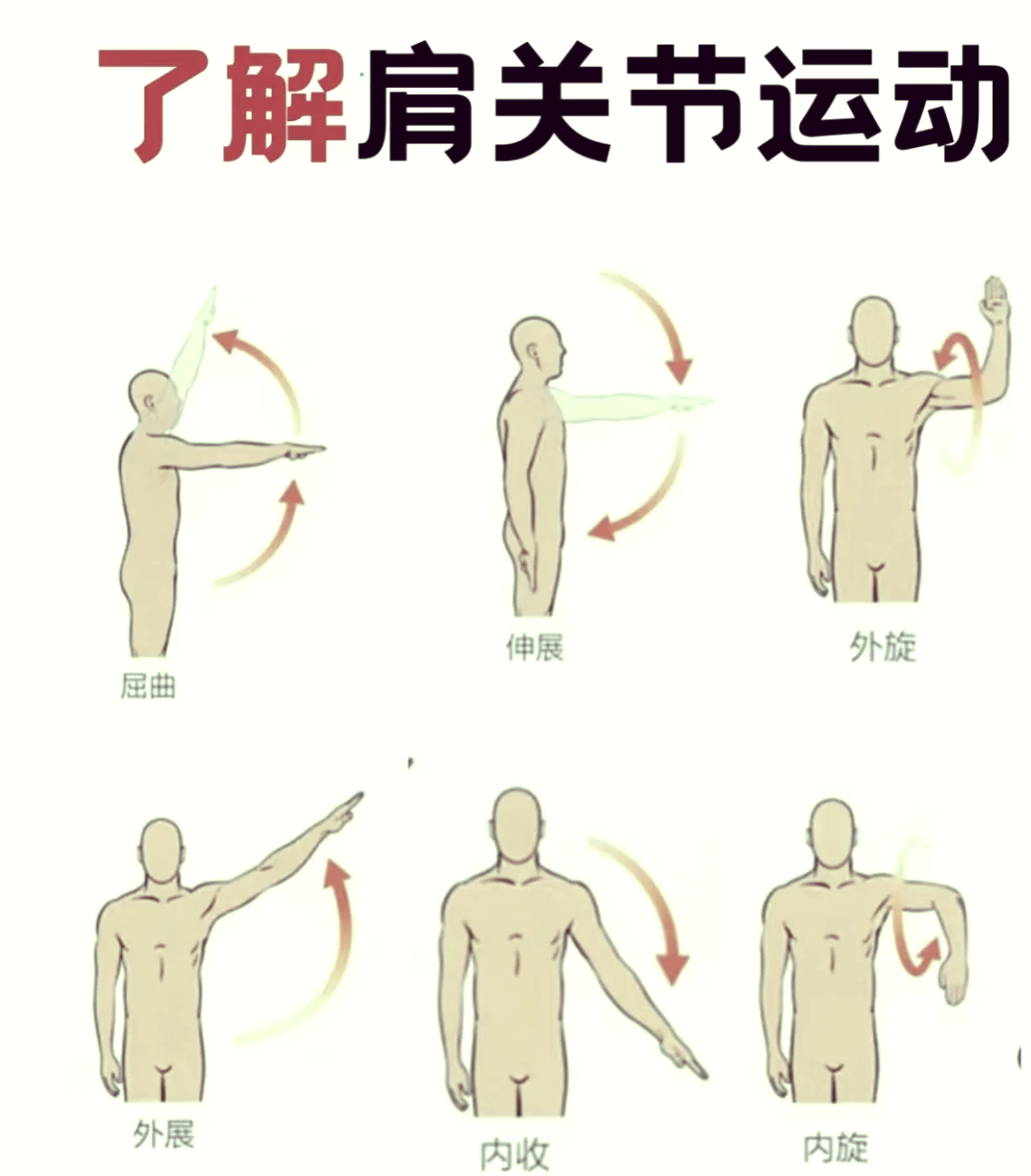 肩关节被动活动图片