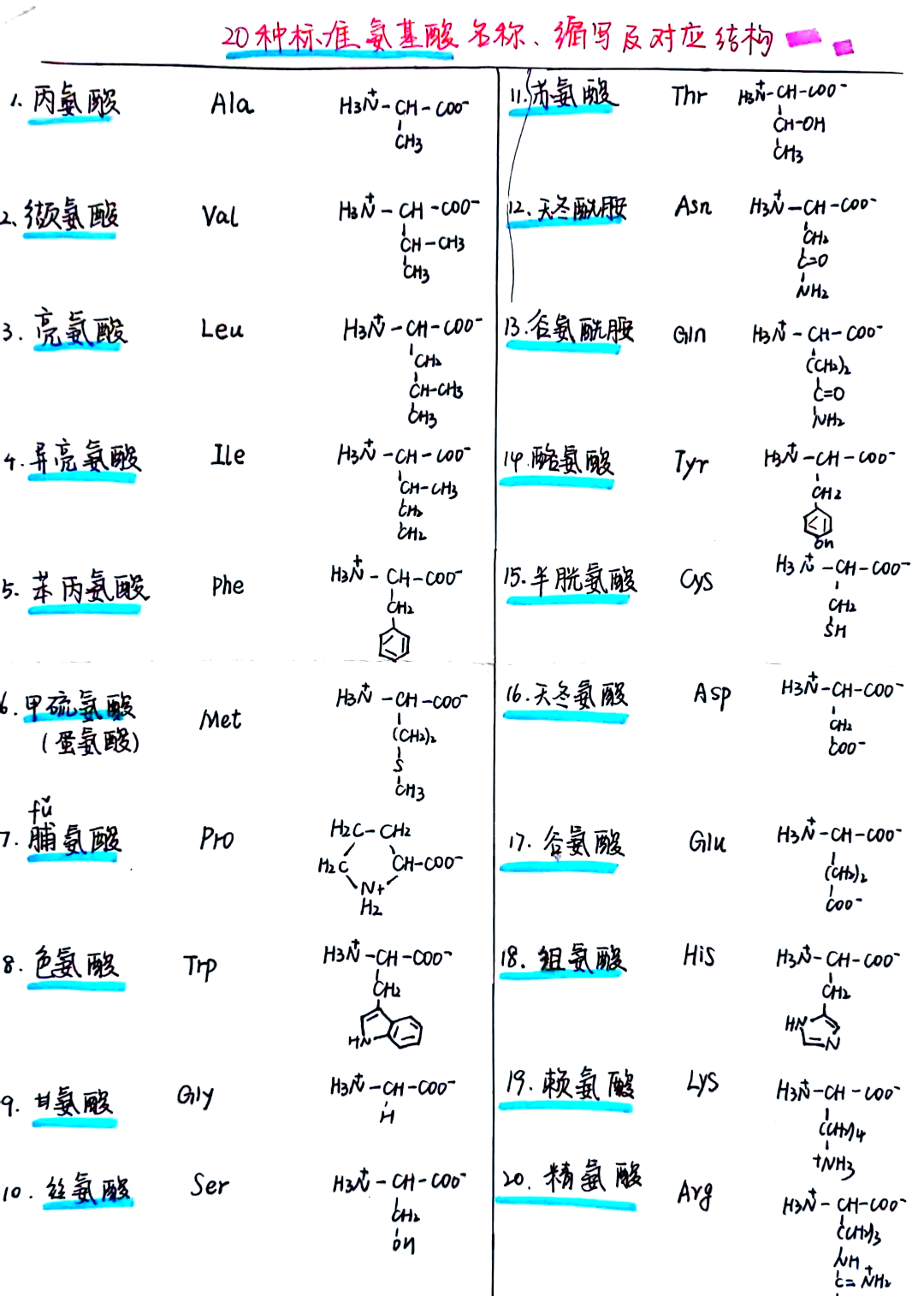 20种氨基酸结构式图片图片