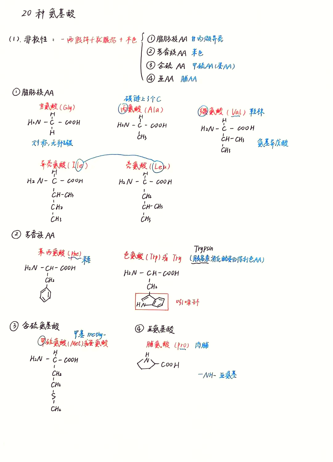 二十种氨基酸缩写图片