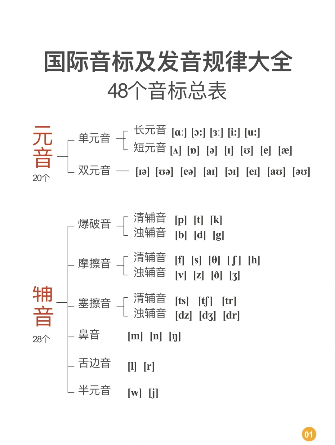 24个辅音音标图片