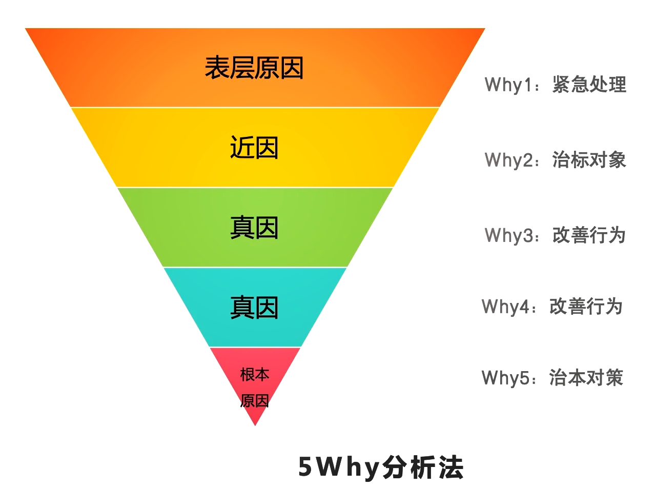 quin合理图片