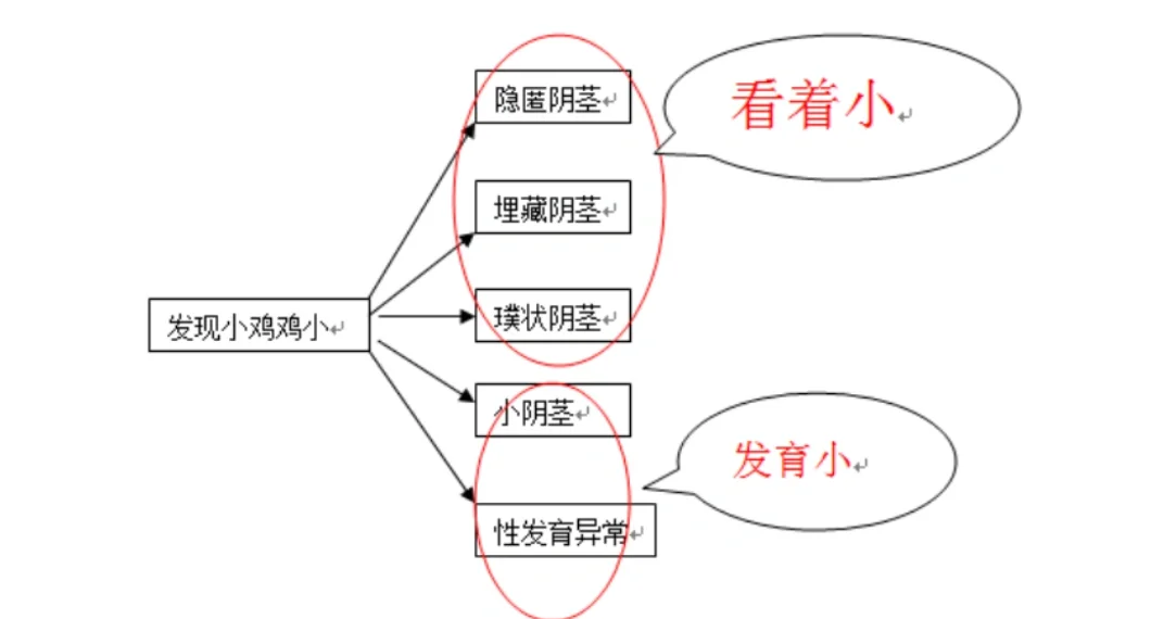 小孩的小鸡 发育不良图片