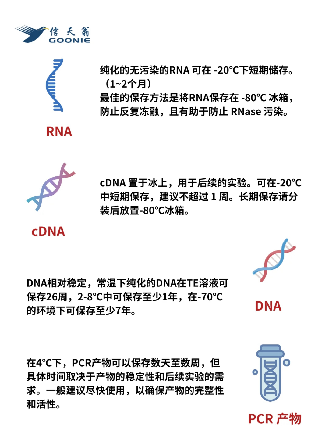 cdna图片