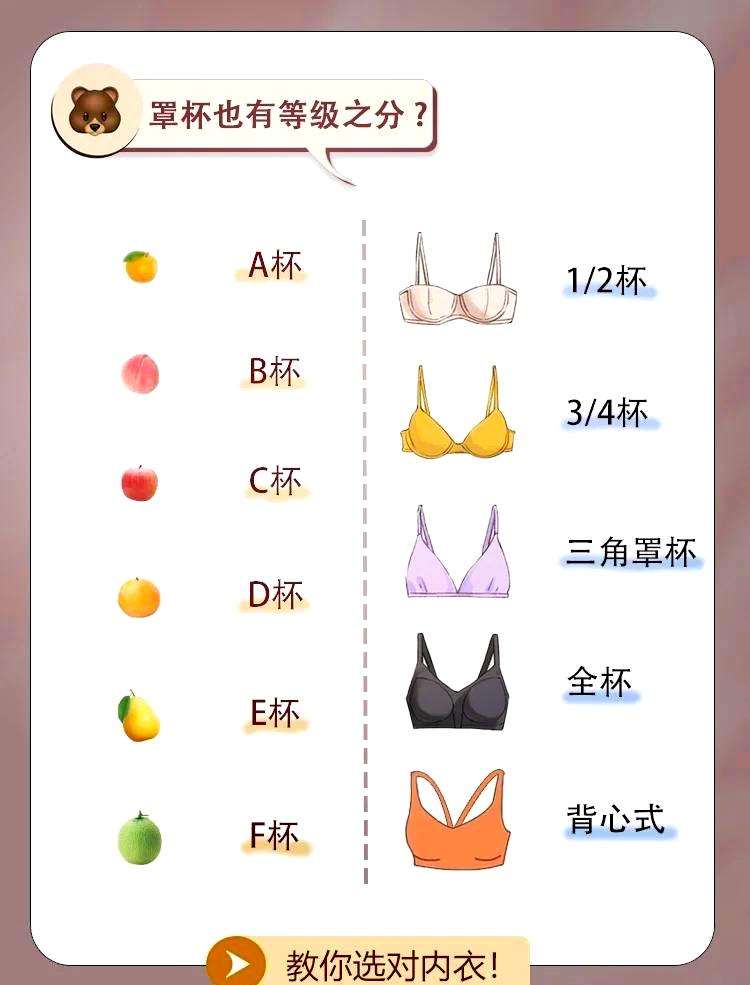 ABCD胸型手感图片