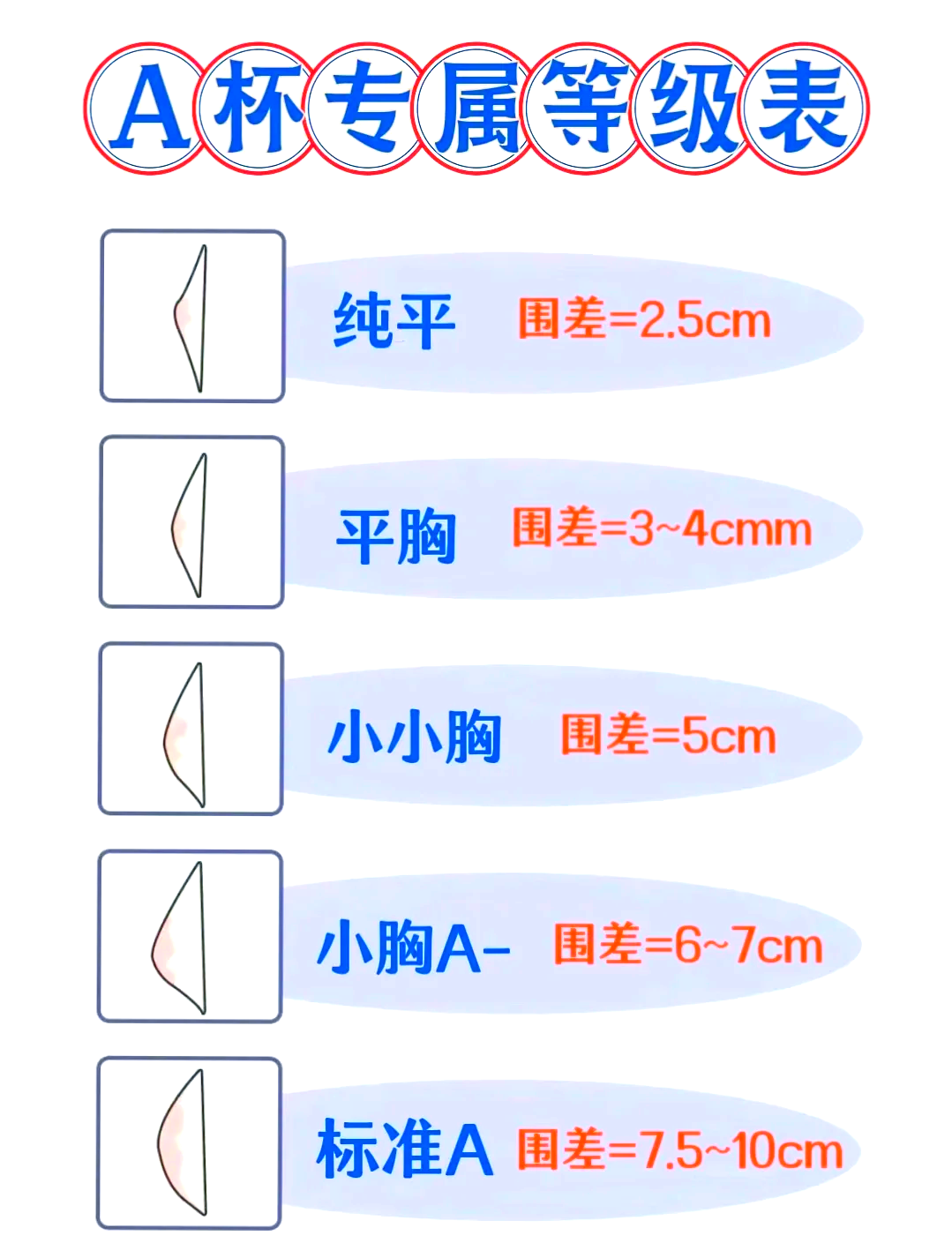 从标准a杯到纯平