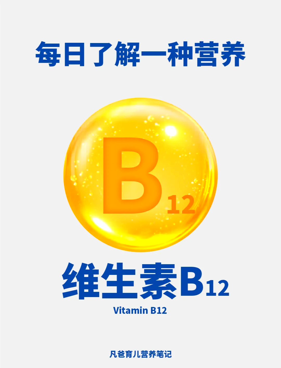 维生素b12 宝妈们必须了解的营养素