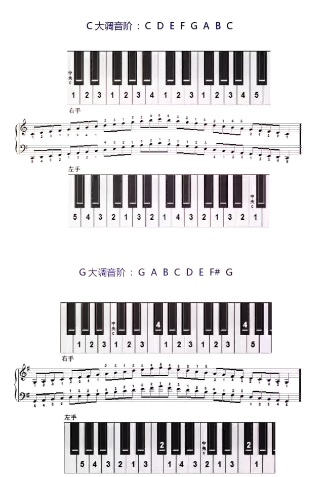 古筝g调音阶表图片