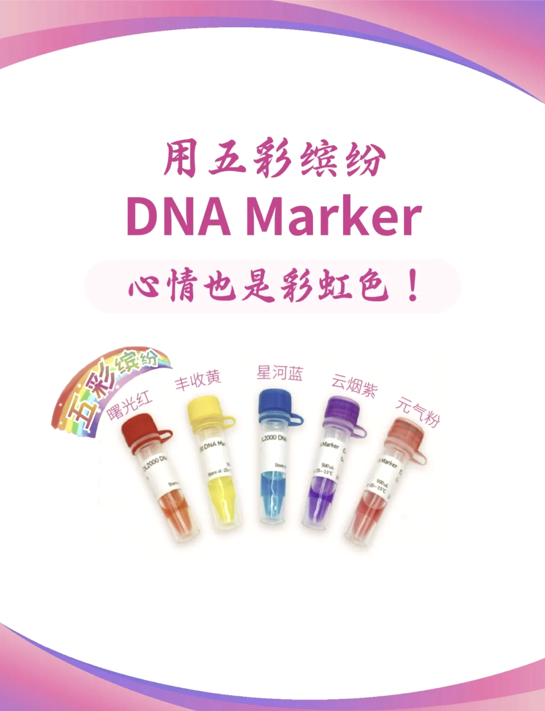 dna5000marker条带图图片