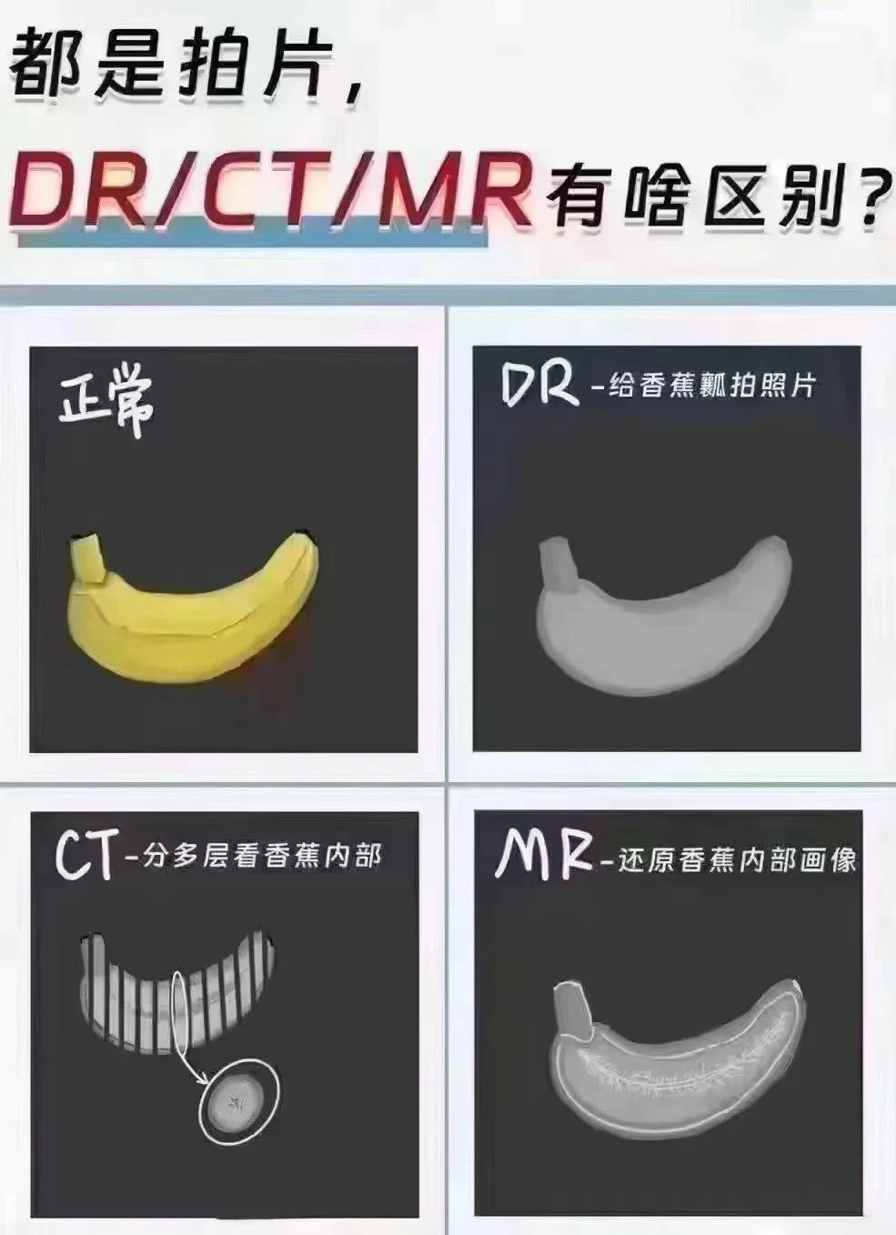 dr照片