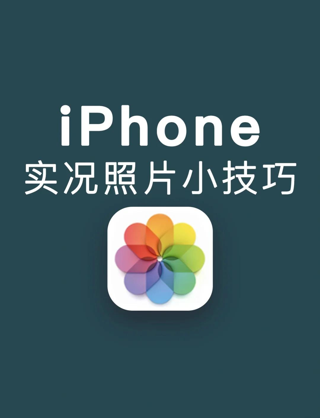 iphone实况照片修图图片