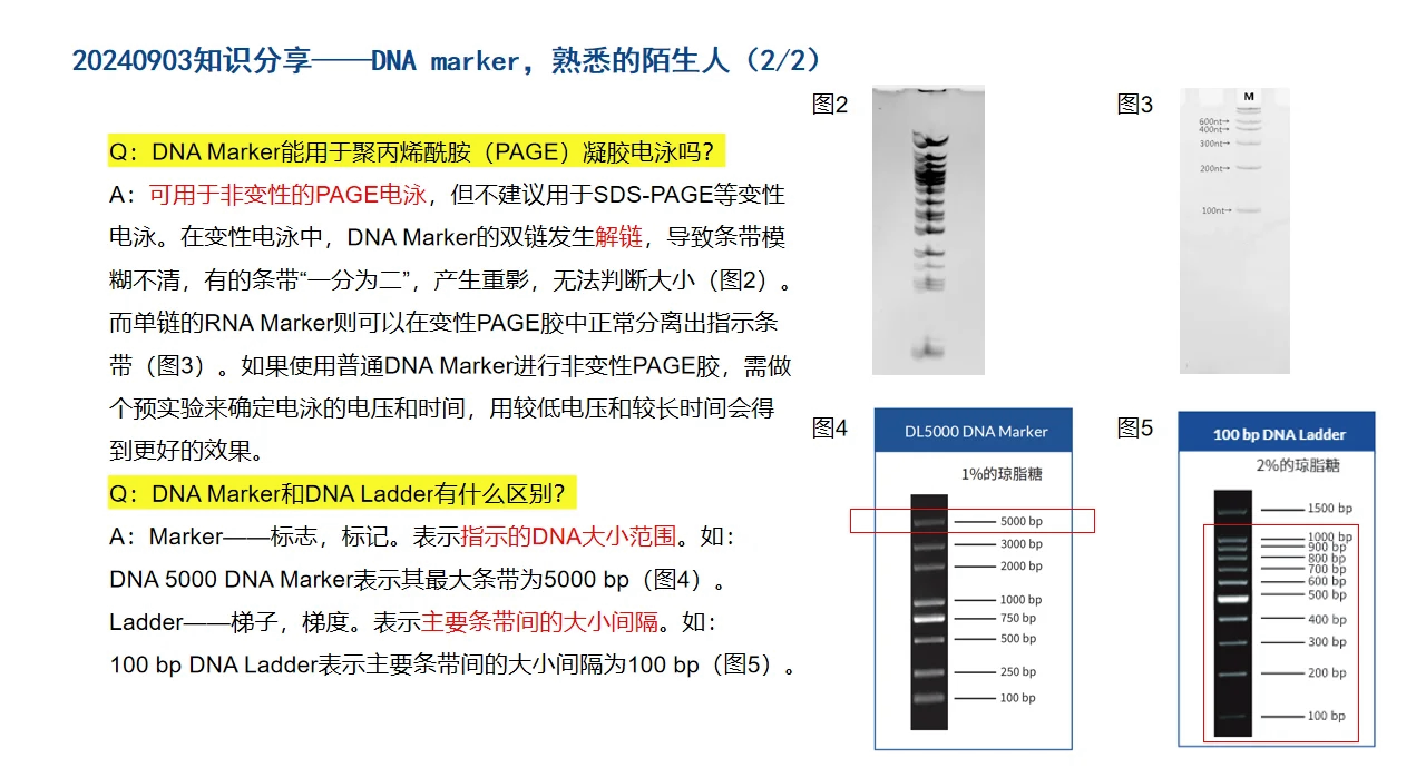 takaradl5000条带图图片