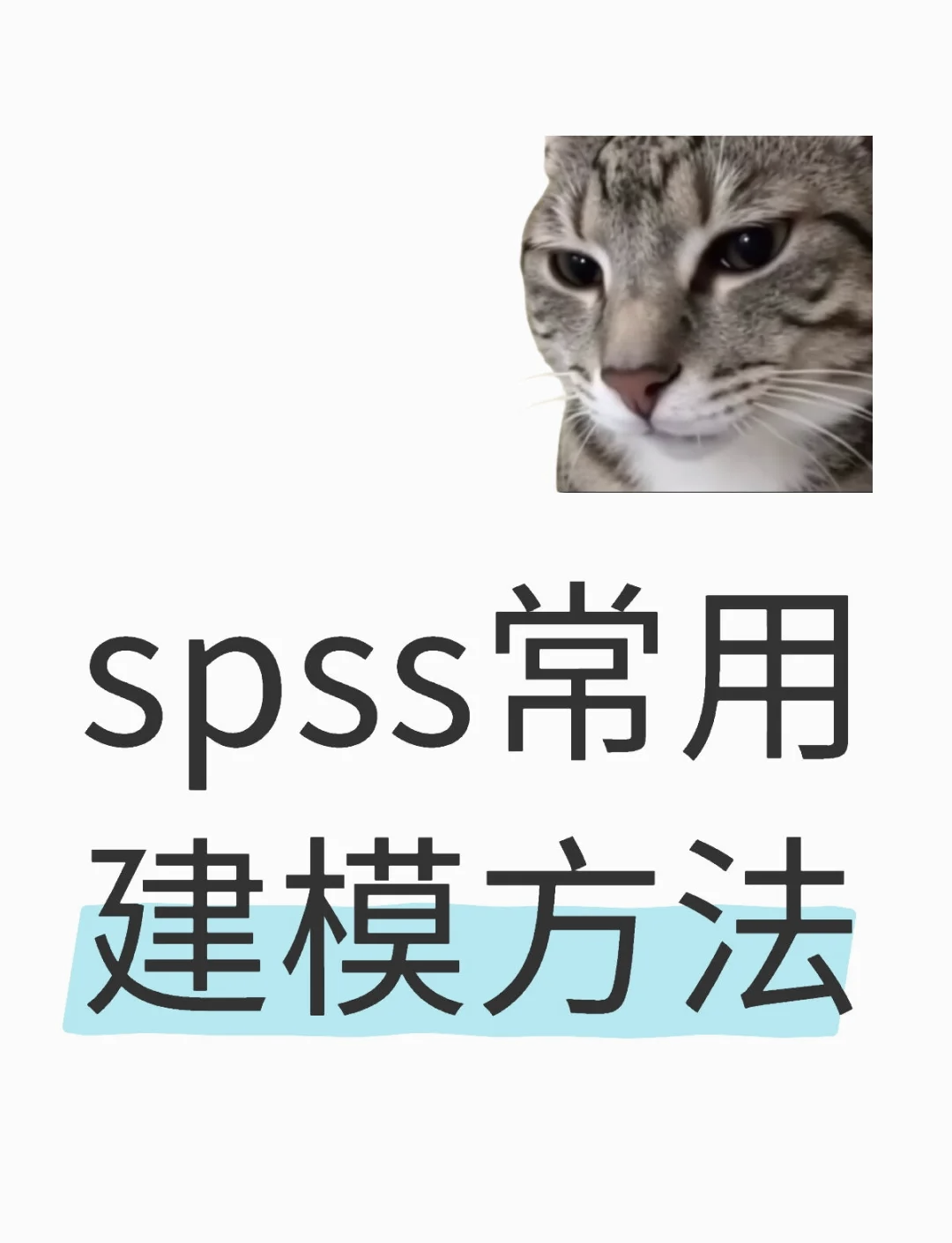 spss表情包图片