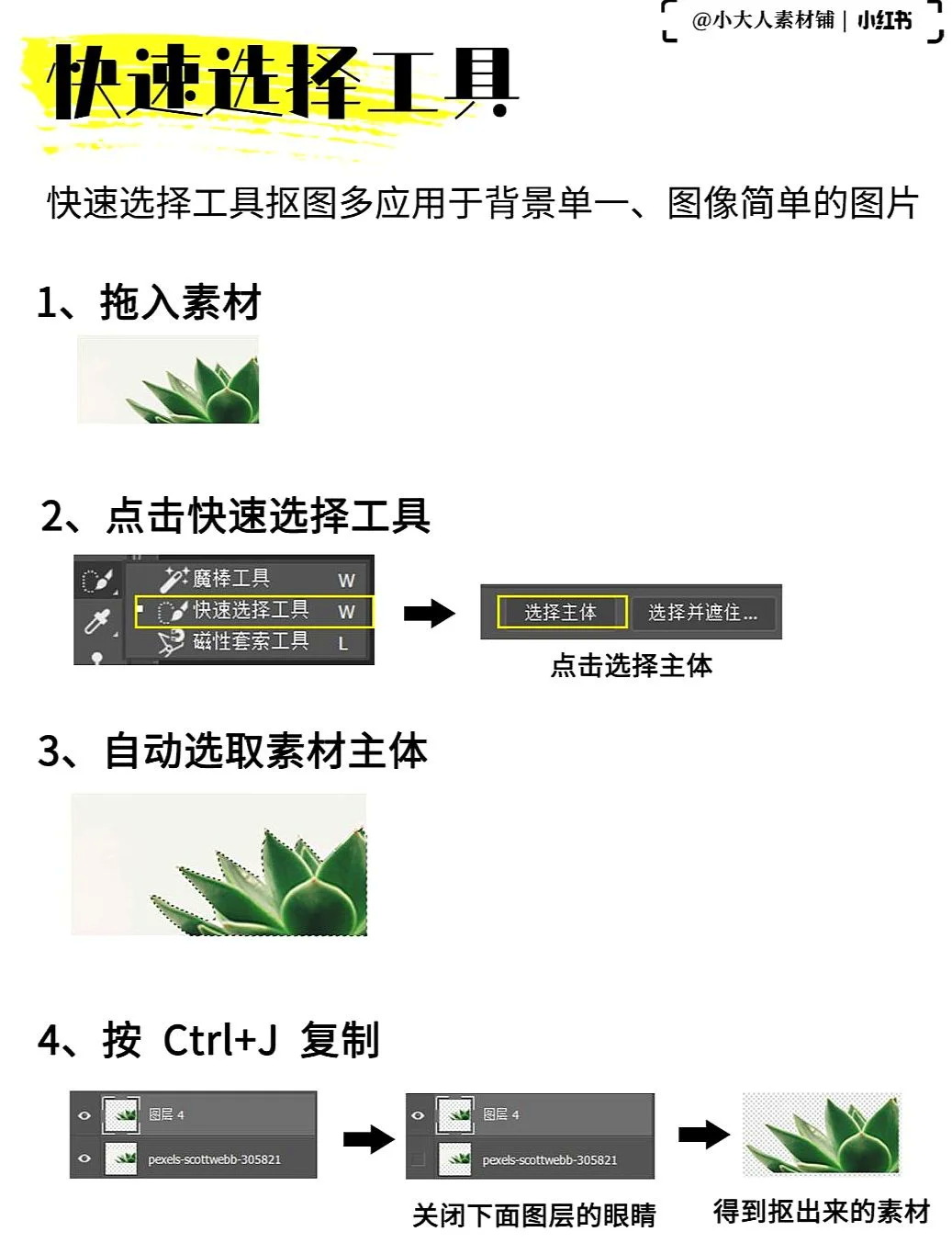 ps抠白底图的步骤图片