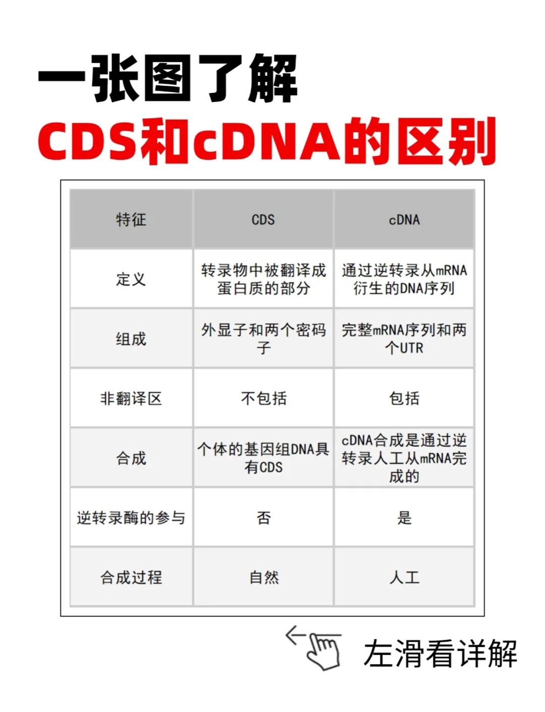 cdna图片