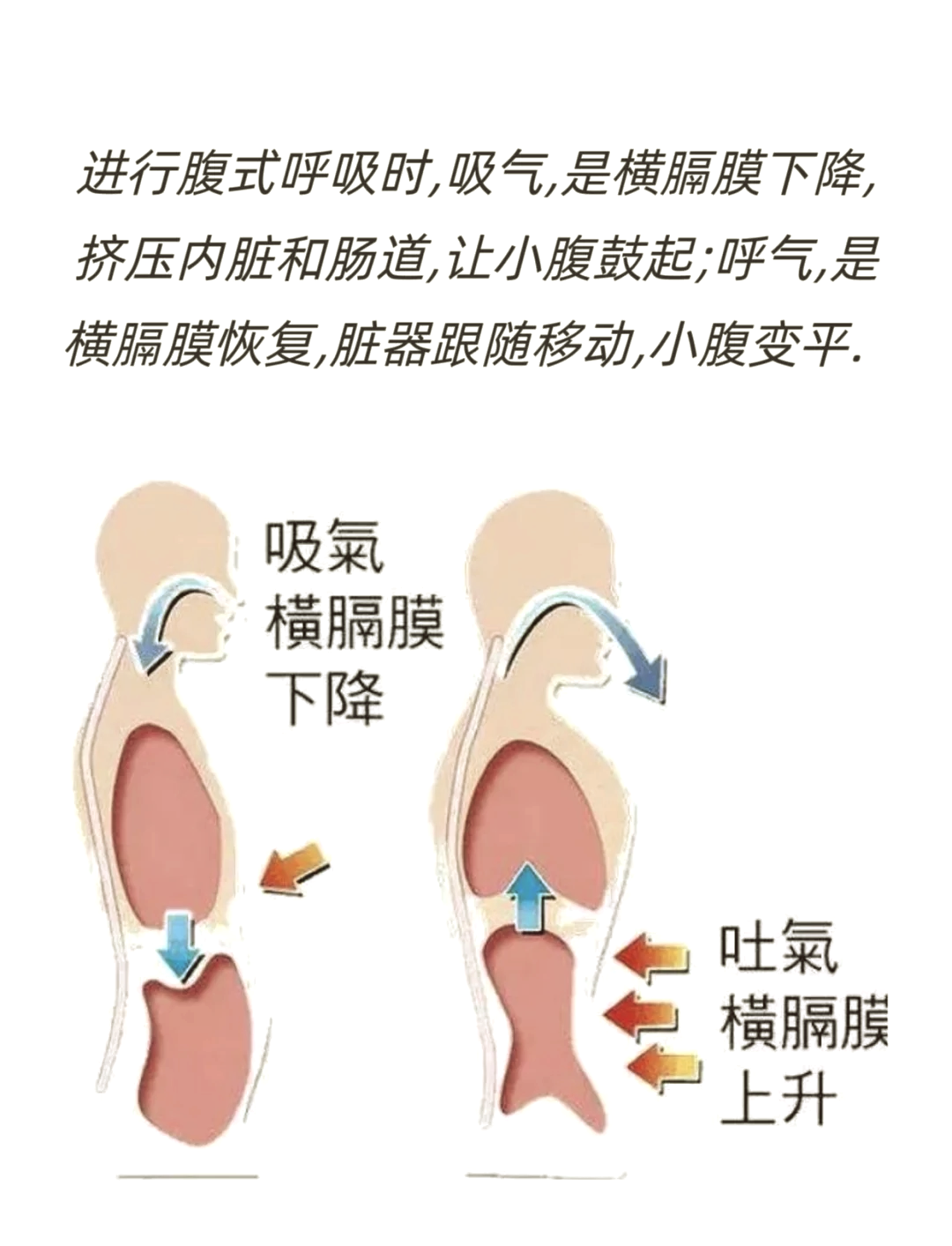 肚子打气图片