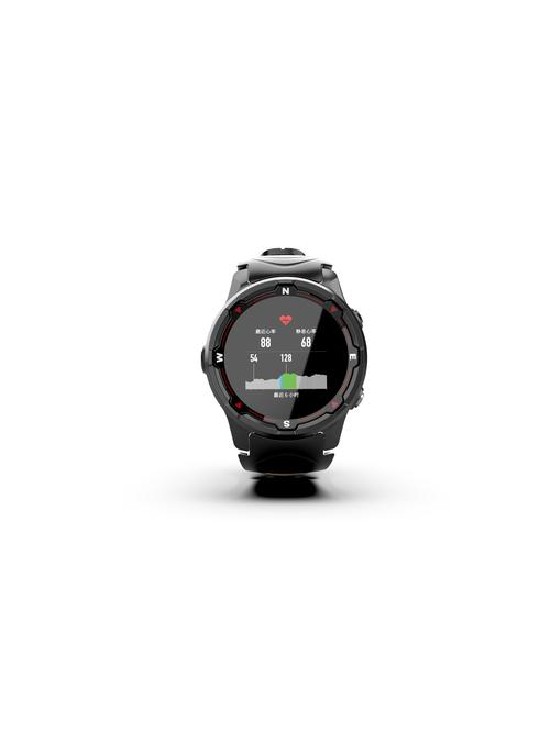 vivo watch 2参数图片